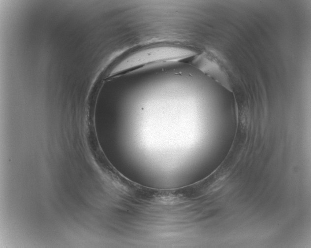 X0000066500540200604072243
