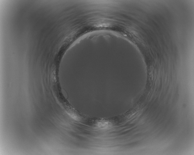 X0000066500547200604072243