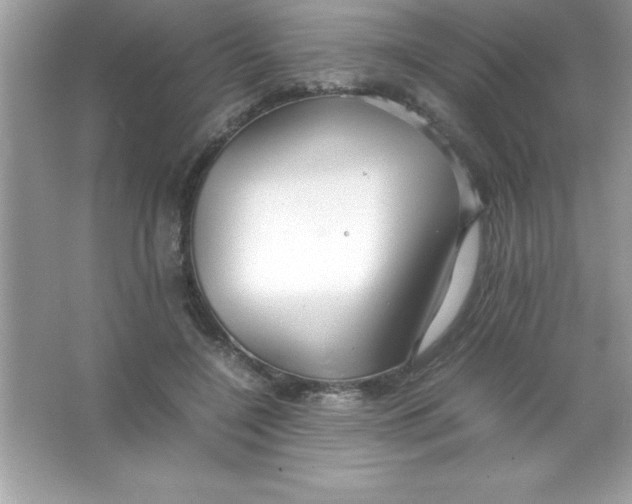 X0000066500548200604072243