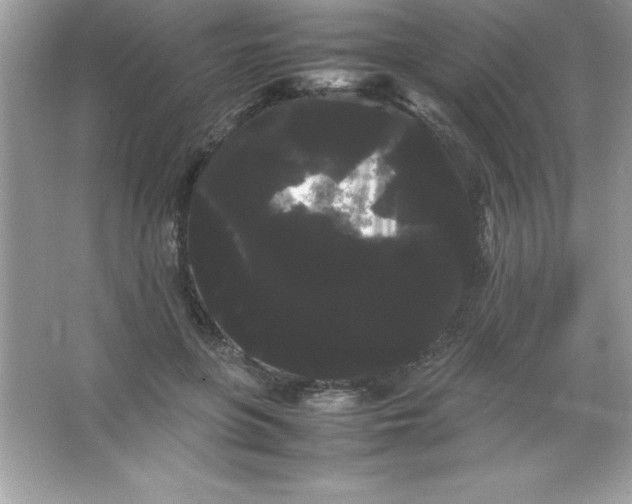 X0000066500551200604072243