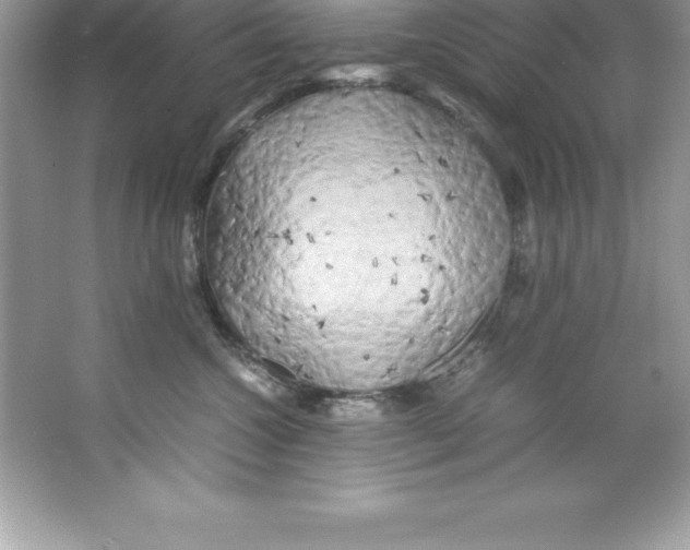 X0000066500572200604072244