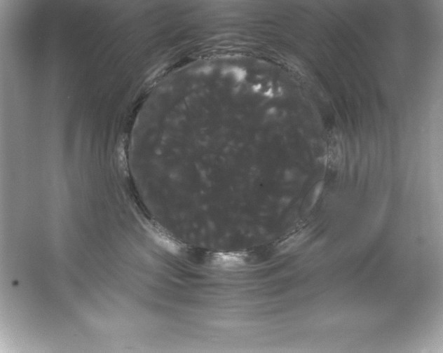X0000066500573200604072244