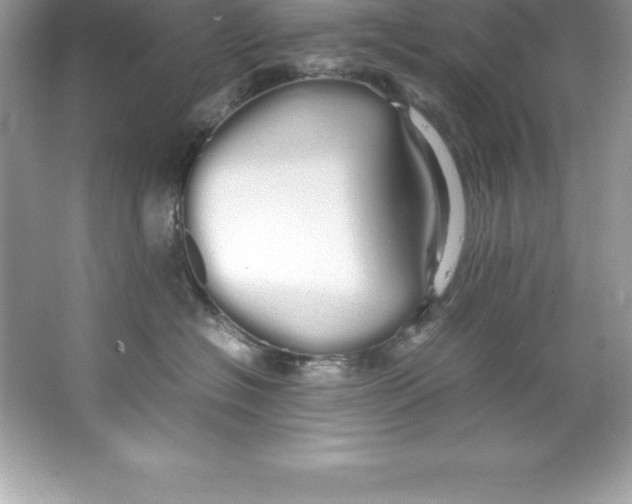 X0000066500574200604072244