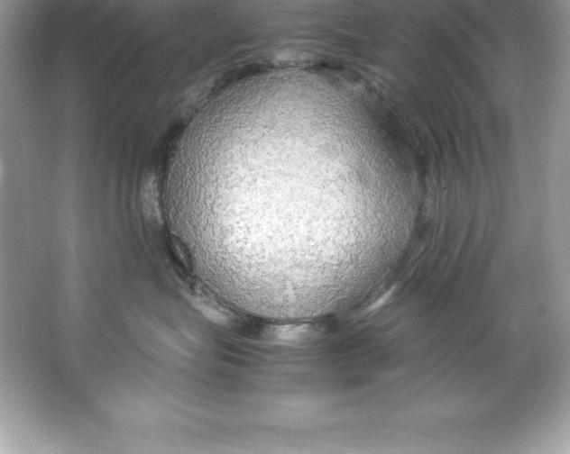 X0000066500575200604072244