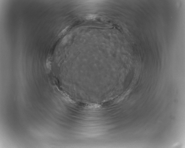 X0000066500576200604072244