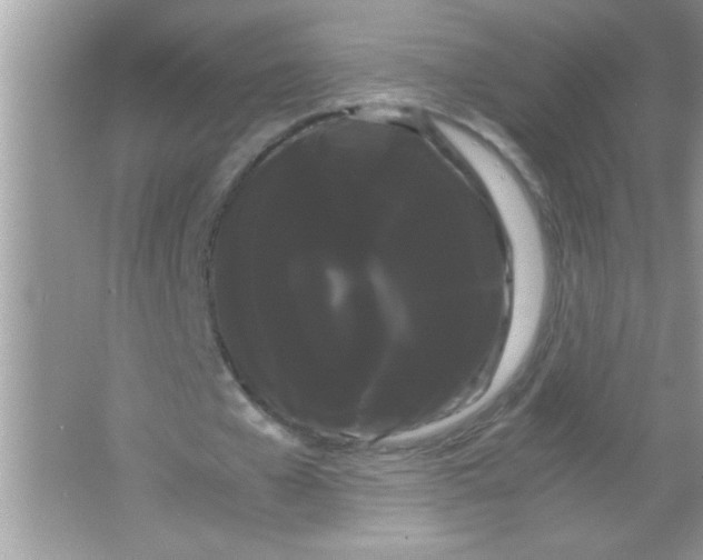X0000066500577200604072243