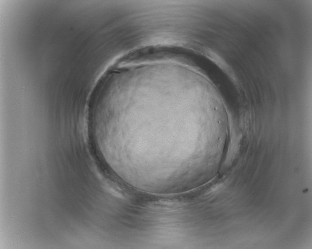 X0000066500580200604072243