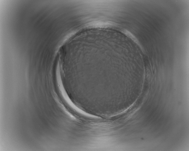 X0000066500581200604072243