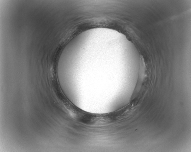 X0000066500597200604072243