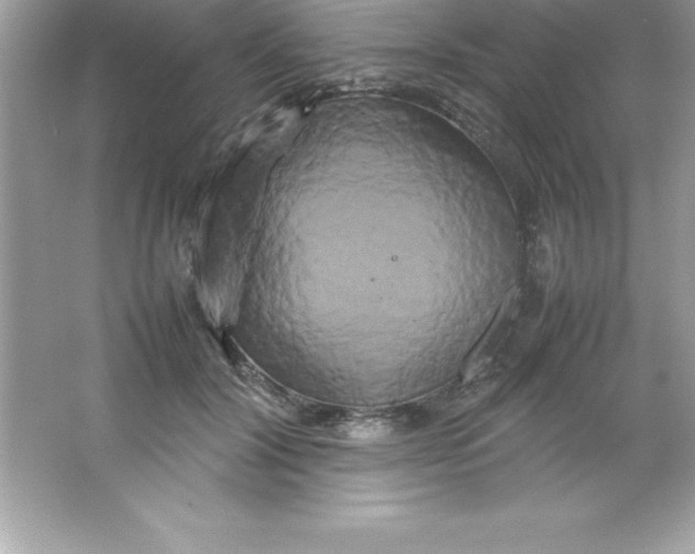 X0000066500604200604072243