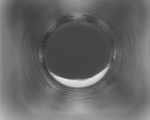 X0000066500607200604072243