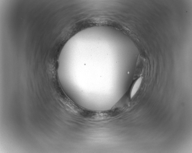 X0000066500609200604072242