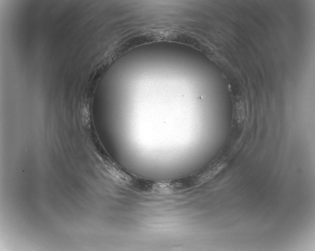 X0000066500613200604072242