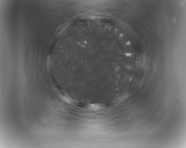 X0000066500623200604072242