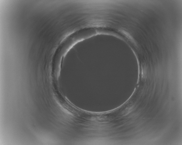 X0000066500627200604072241