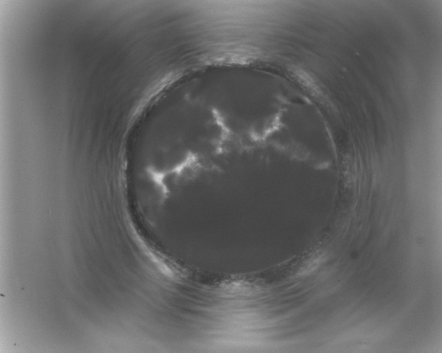 X0000066500634200604072242