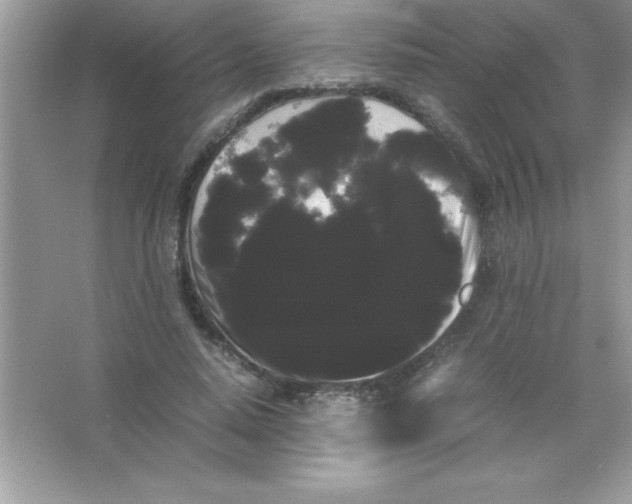 X0000066500640200604072242