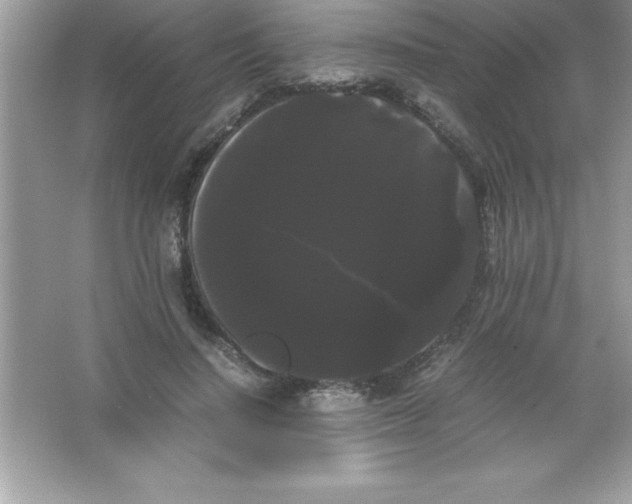 X0000066500644200604072242