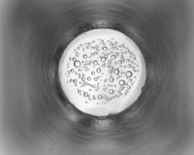 X0000066500645200604072242