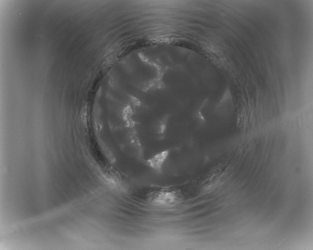 X0000066500647200604072242