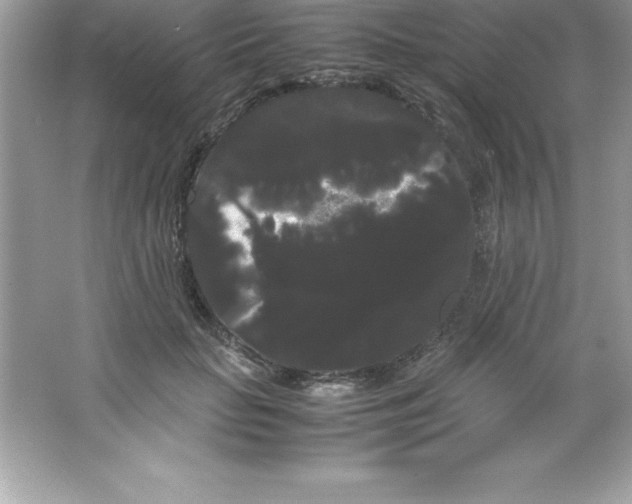 X0000066500653200604072242