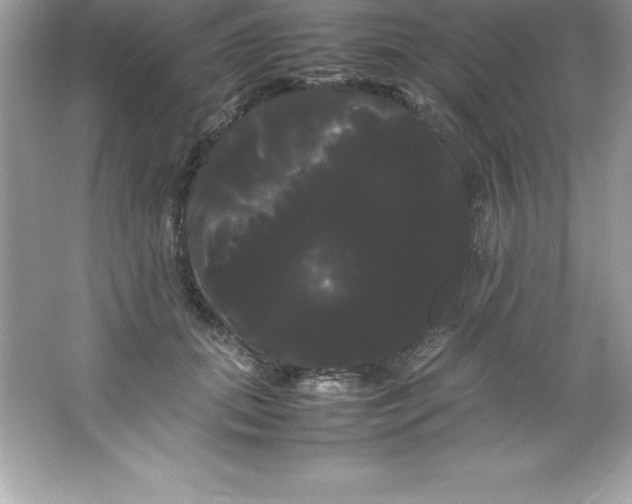 X0000066500655200604072242