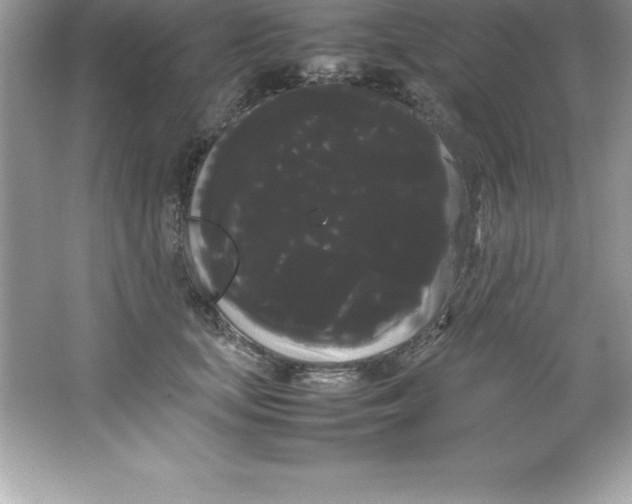 X0000066500659200604072242