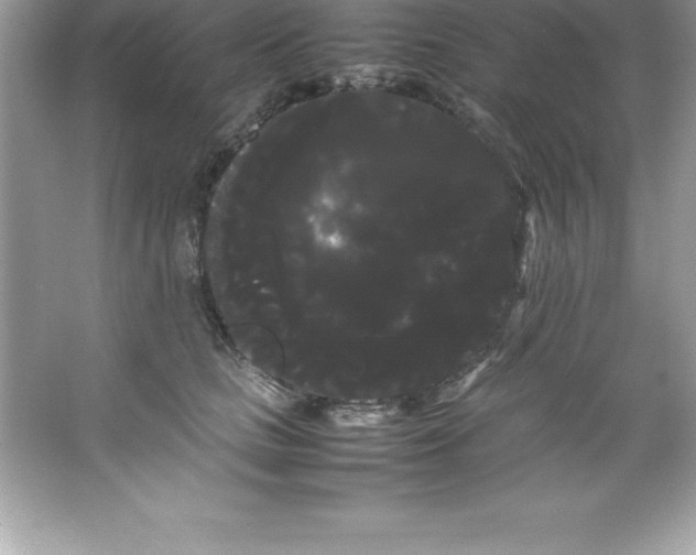 X0000066500661200604072242