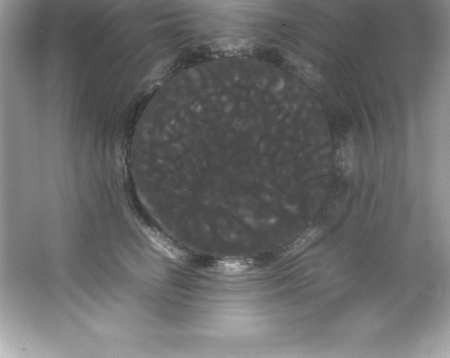 X0000066500662200604072242