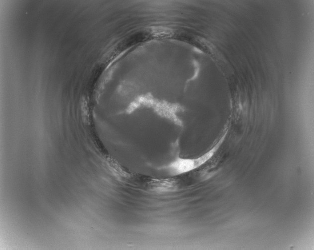 X0000066500667200604072242