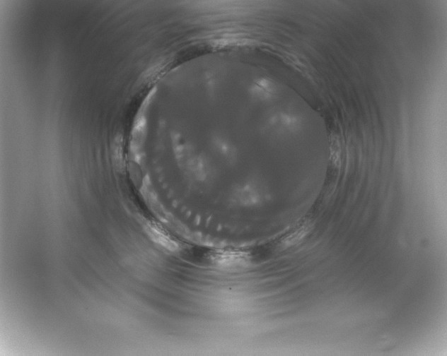 X0000066500670200604072242