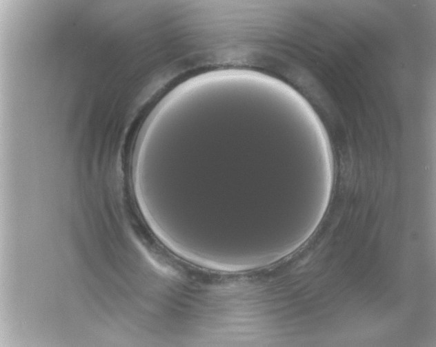 X0000066500674200604072241
