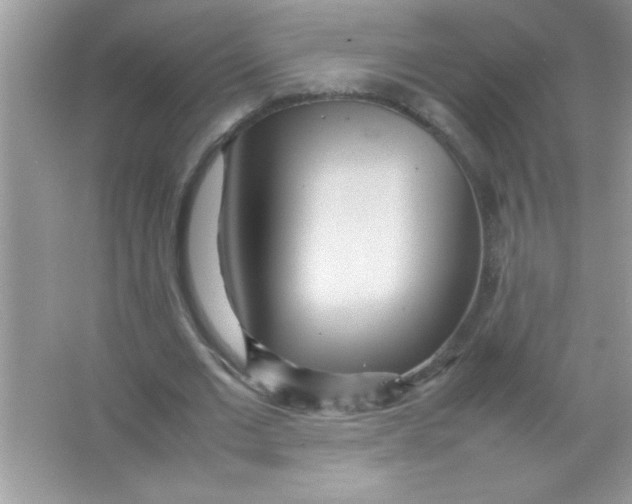 X0000066500677200604072241