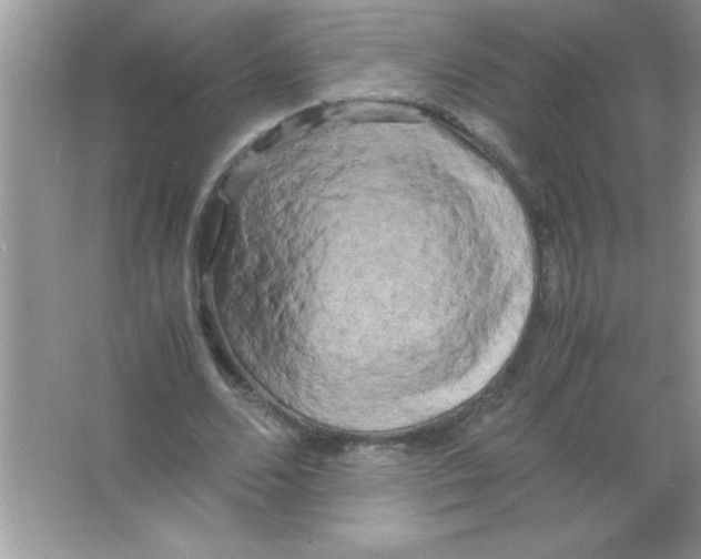 X0000066500680200604072241