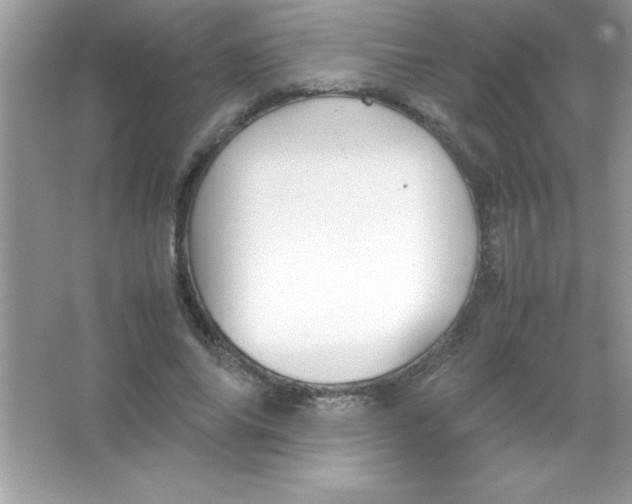 X0000066500686200604072241