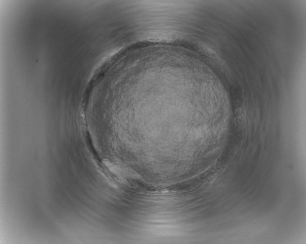 X0000066500688200604072241