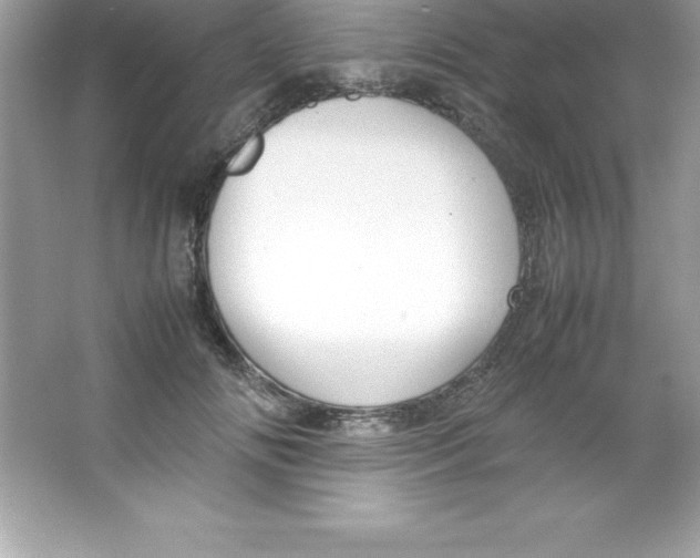 X0000066500702200604072241