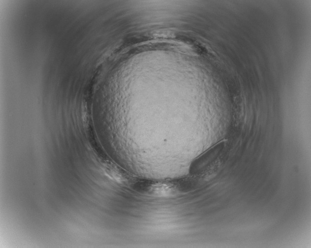 X0000066500704200604072241