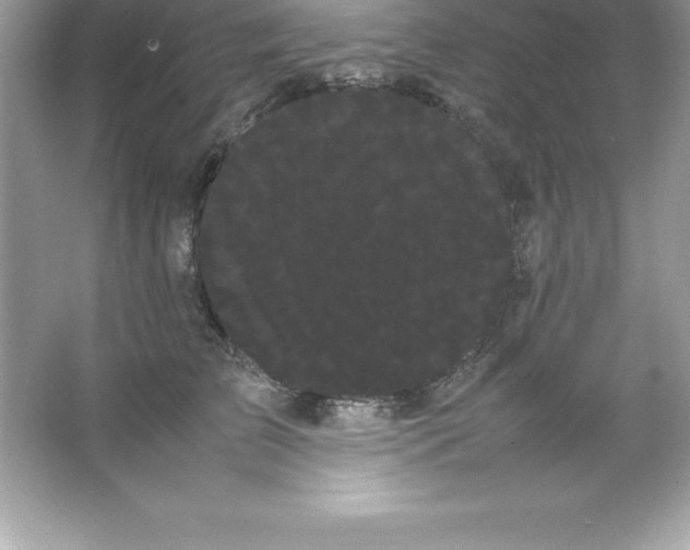 X0000066500709200604072241