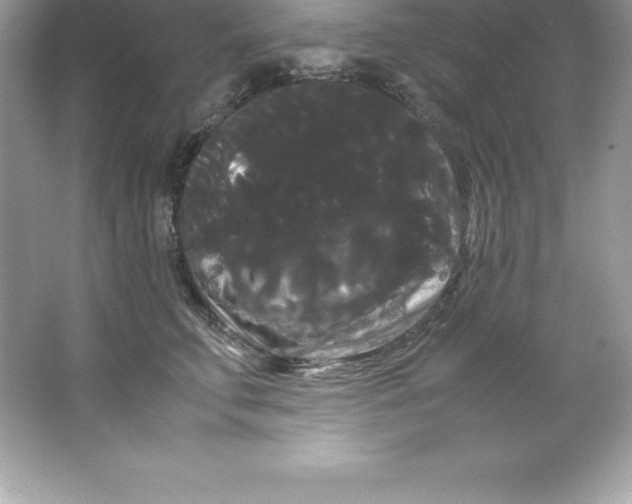 X0000066500711200604072241