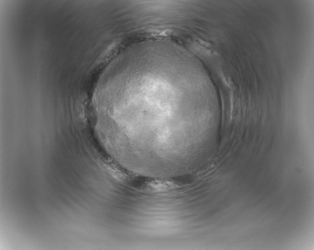 X0000066500712200604072241