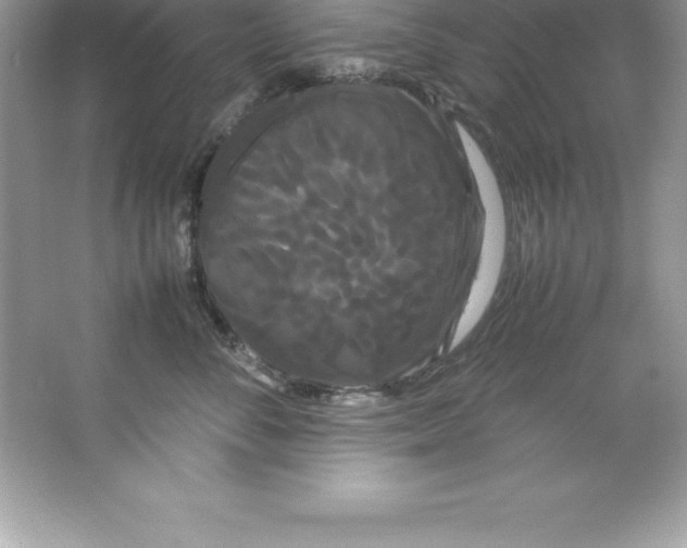 X0000066500716200604072241