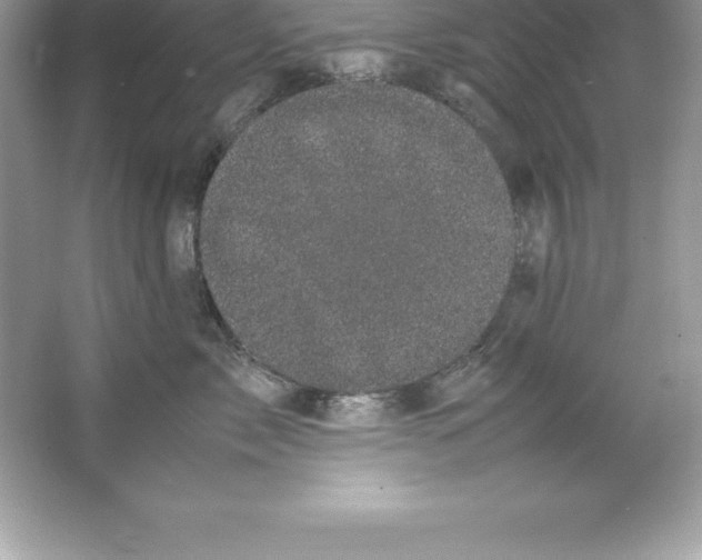 X0000066500717200604072241