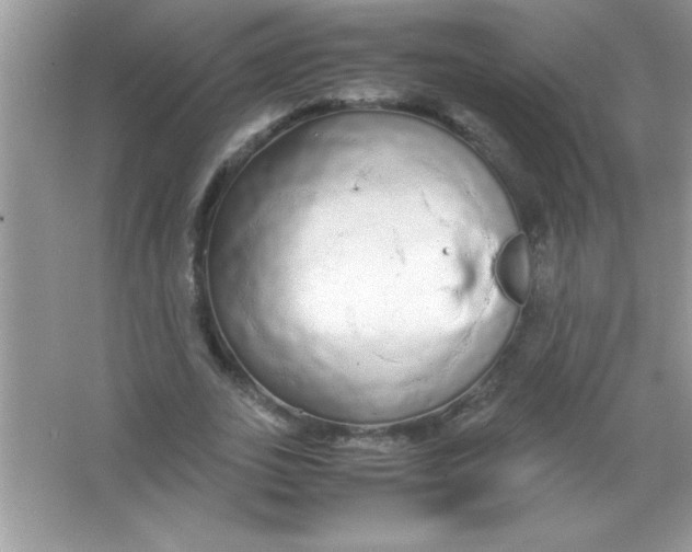 X0000066500727200604072240