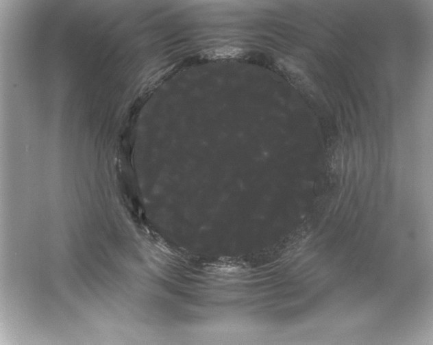 X0000066500743200604072240