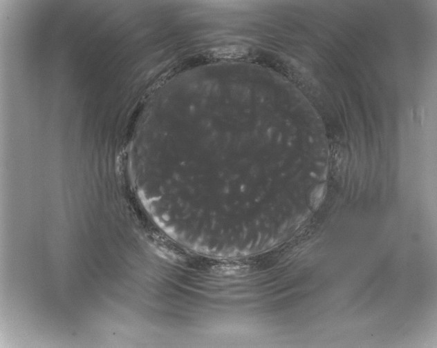 X0000066500745200604072240