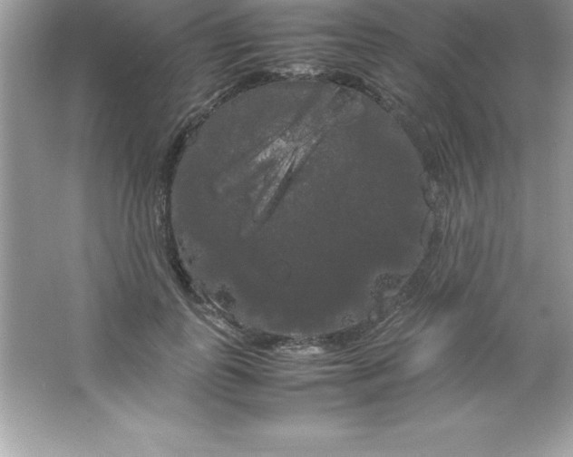X0000066500747200604072240