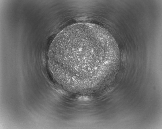 X0000066500751200604072240