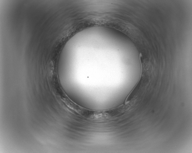 X0000066500752200604072240