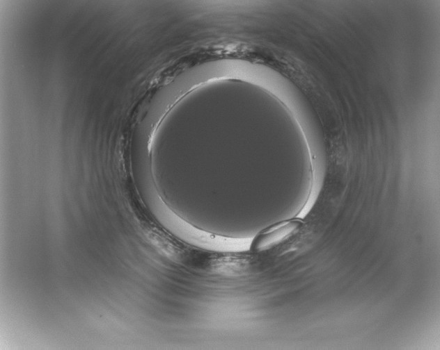 X0000066500754200604072240